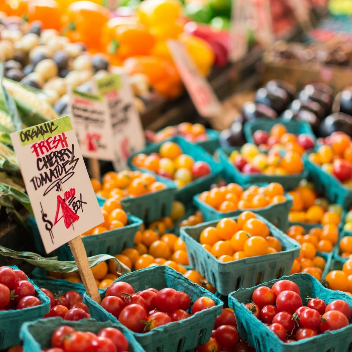 Punnets of cherry tomatoes on a market stall behind a handwritten price sign