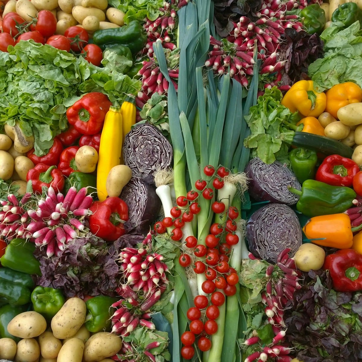 Vegetables arranged overhead — peppers, radishes, tomatoes, herbs and squash