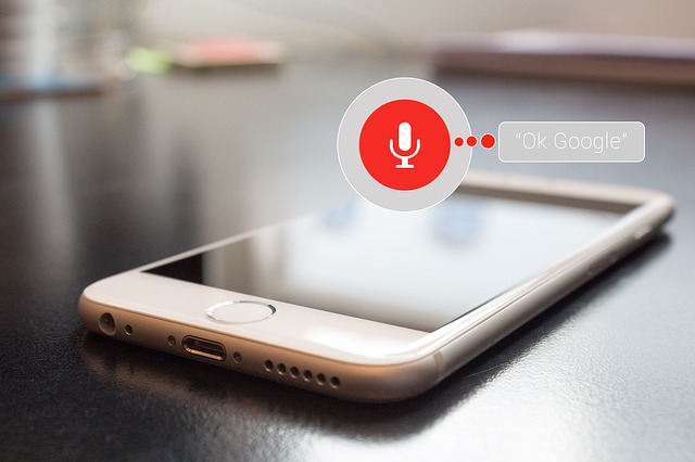 Voice Search Optimization in Web Development