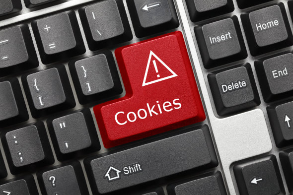 Cookies Web Development