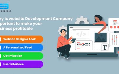 Website Development